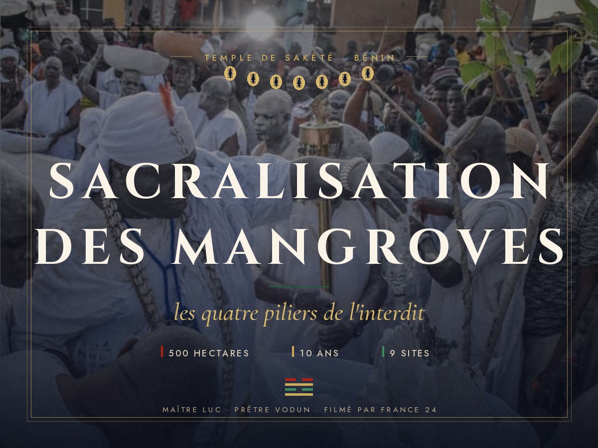 Sacralisation des mangroves au Bénin : les quatre piliers de l'interdit, par Maître Luc.